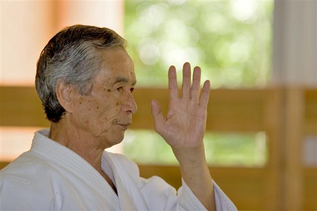 aikido